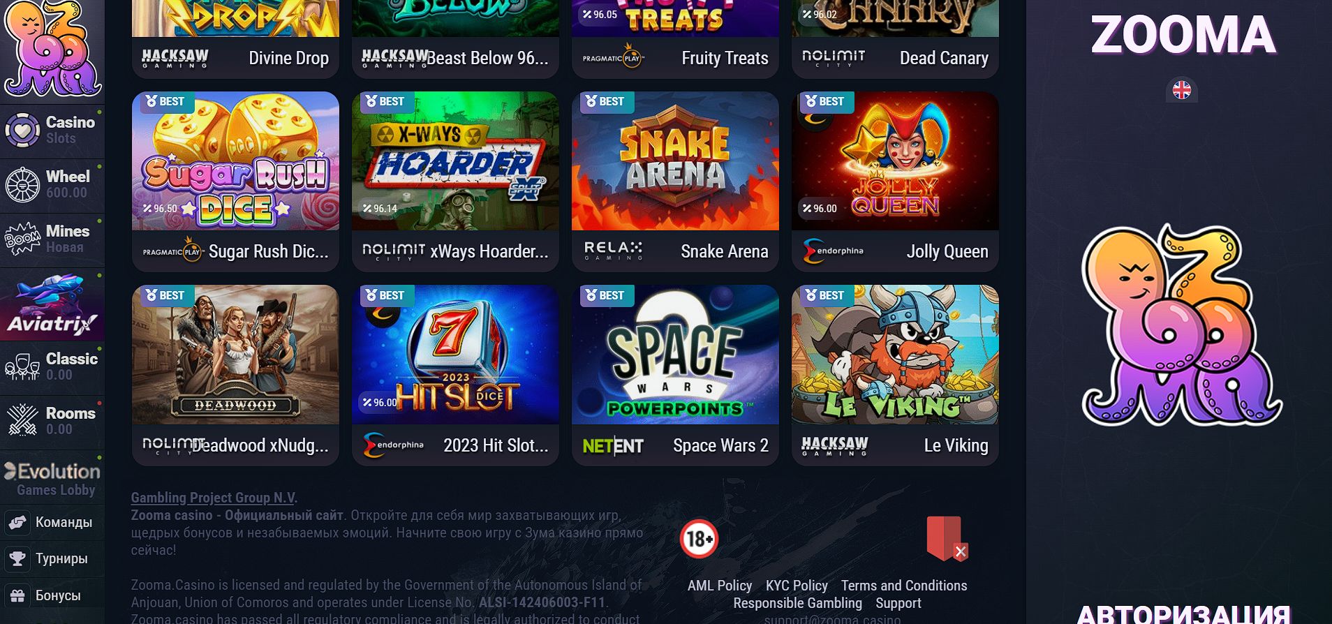 Главная страница Zooma по зеркальному адресу — та же самая, что откроется по оригинальному URL через любой другой способ обеспечения доступа